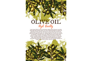 Olive Oil Sketch Poster With Green Leaf And Fruit