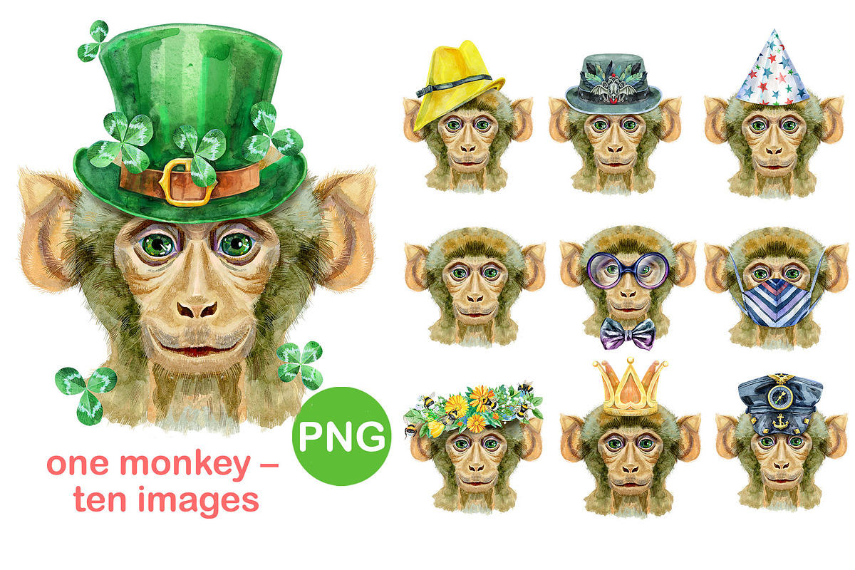 Monkey portraits, an Animal Illustration by Watercolor fantasy (Photo 1 of 9)