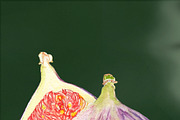 Fig Fruit Watercolor Illustration, a Food Illustration by Olexandra Mur (Thumbnail 2 of 3)