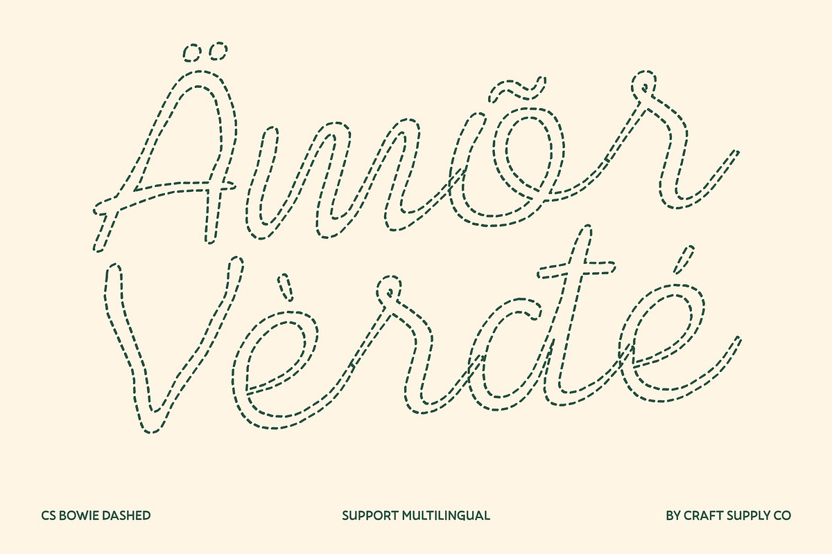 CS Bowie Dashed, a Script Font by Craft Supply Co. (Photo 7 of 8)