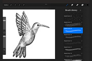 Stipple shading brushes Procreate, a Brush Add-On by aivos (Thumbnail 2 of 5)