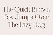 Zaloga Typeface - Display Serif, a Serif Font by Youthlabs Studio (Thumbnail 10 of 12)
