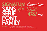 Signatum - Font family, a Handwritten Font by Artistic & Unique (Thumbnail 4 of 15)