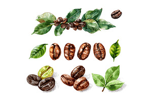 Watercolor coffee beans. Roasted, a Food Illustration by Stock-Smart-Start