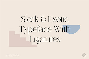 Casablanca - Sleek & Exotic Serif