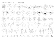 Ultimate Flower & Leaf Collection, an Object Graphic by Pretty Little Lines (Thumbnail 35 of 47)