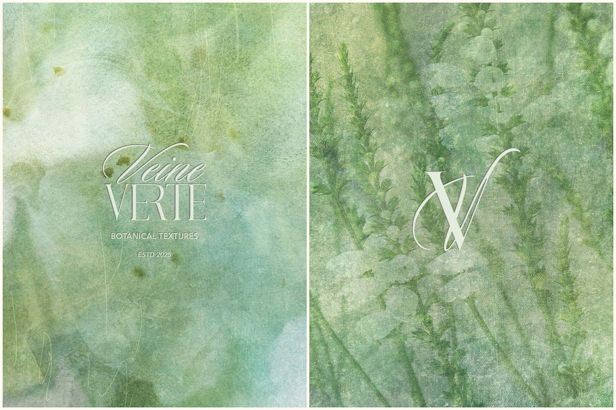 Veine Verte Botanical Backgrounds, a Background Graphic by alonahaidash (Photo 7 of 20)