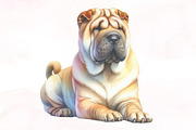 Shar-Pei Dog Watercolor Clipart, an Illustration by Designking (Thumbnail 2 of 4)