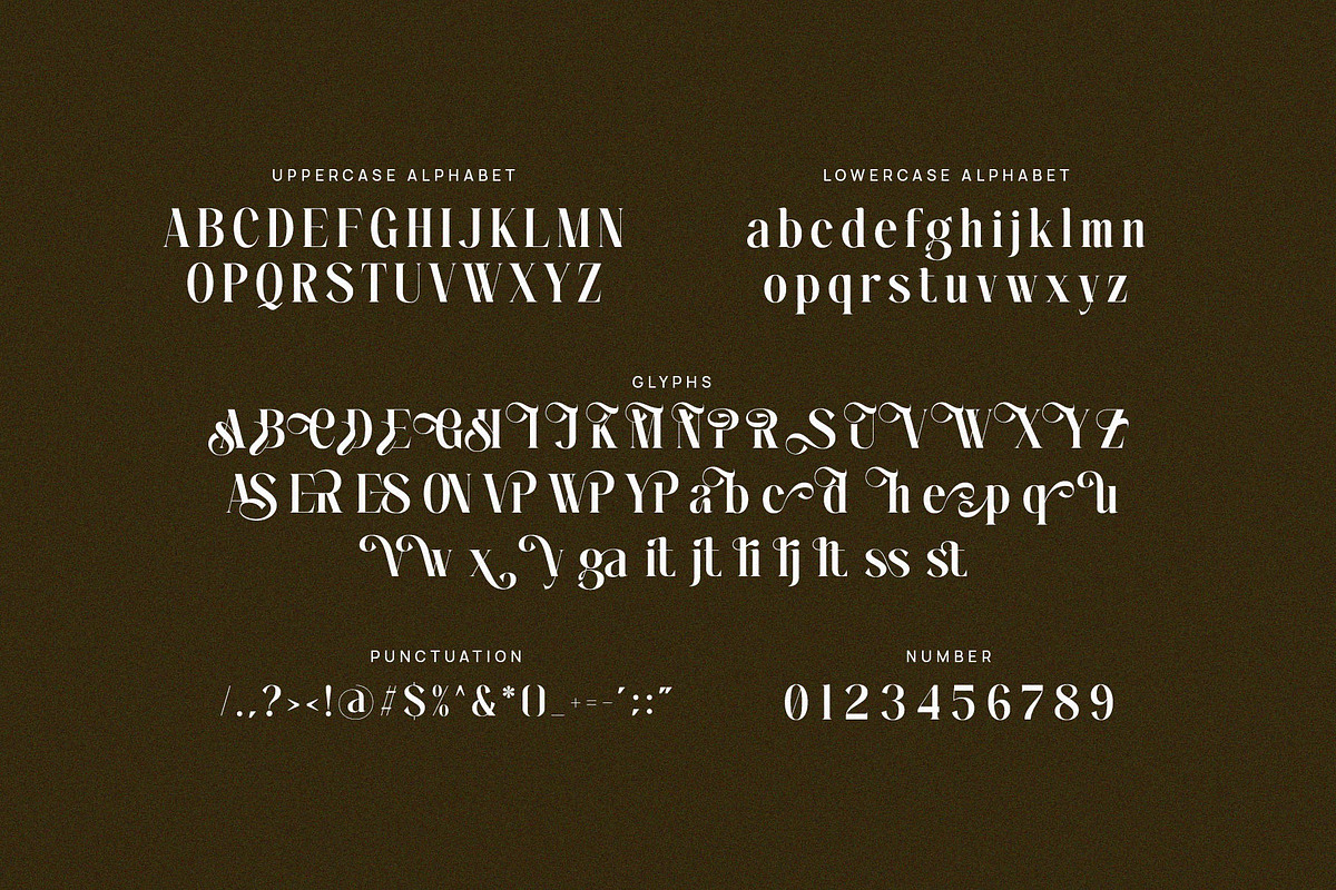 Saliric - Elegant Serif Font, a Serif Font by TypeLogue (Photo 5 of 5)