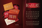 Romane - Elegant Serif, a Serif Font by Burntilldead (Thumbnail 5 of 11)