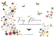Tiny Flowers Pressed Floral Clipart, an Illustration by whiteheartdesign (Thumbnail 1 of 17)