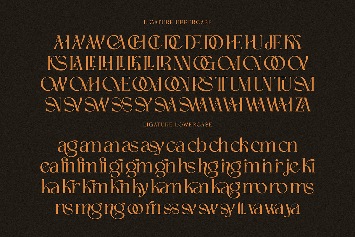 Delinoswa, a Serif Font by Cruzine (Photo 7 of 8)