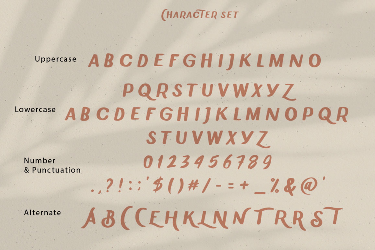 Chammer Beauty - Classic Sans DISC%, a Sans Serif Font by Anxiety Studio (Photo 14 of 15)