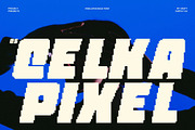 CS Celka Pixel, a Sans Serif Font by Craft Supply Co. (Thumbnail 1 of 8)