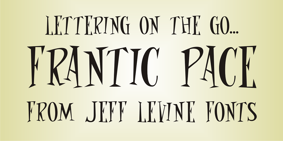 Frantic Pace JNL, a Serif Font by Jeff Levine Fonts (Photo 1 of 4)