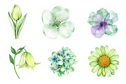 Green Blossom Spring Clipart, an Illustration by CreationArt (Thumbnail 2 of 5)
