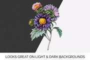 Flowers Aster Purple Clipart Vintage, an Illustration by Enliven Designs (Thumbnail 8 of 9)