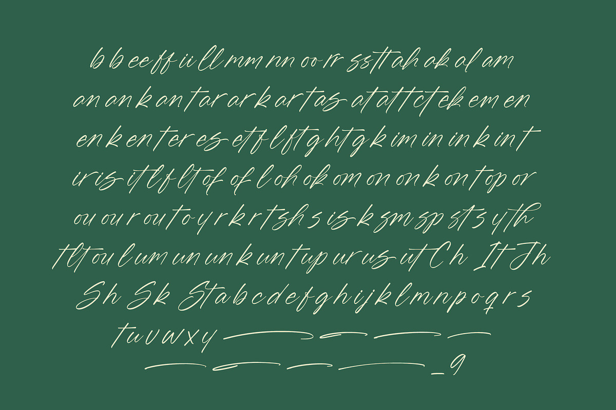 Blynkas Scripte Handwritten Font, a Script Font by Letterena Studios Script (Photo 13 of 15)