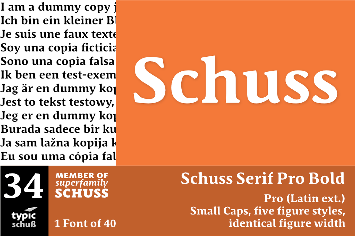 SchussSerifProBold No.34 (1 Font)
