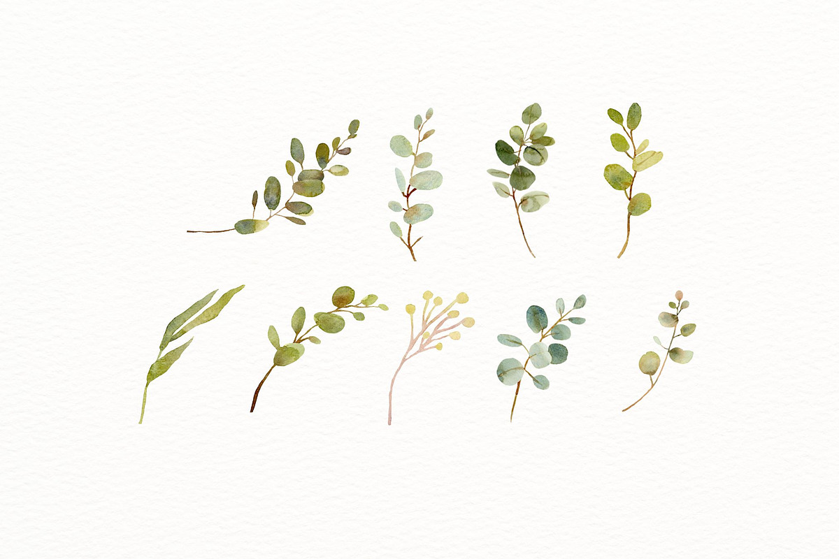 Rustic Eucalyptus Foliage, a Decorative Illustration by AnnelyBlooms (Photo 5 of 5)