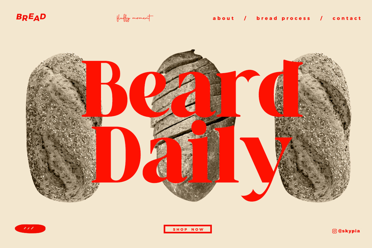 The Vindest, a Serif Font by Skypia (Photo 10 of 16)