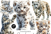 Watercolor Snow Leopard Clipart, an Animal Illustration by Design Scotch (Thumbnail 1 of 8)