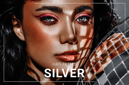 30 Silver LUT Collection