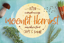 Moonlit Harvest Font Typeface