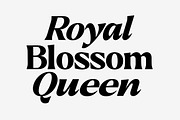 Callum Text Serif | 9 Font, a Serif Font by Positive TypeFoundry (Thumbnail 2 of 13)