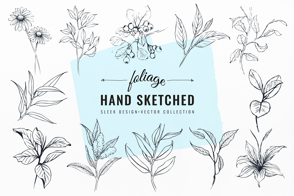 Foliage Hand Drawn, an Object Graphic by Solana (Photo 1 of 3)