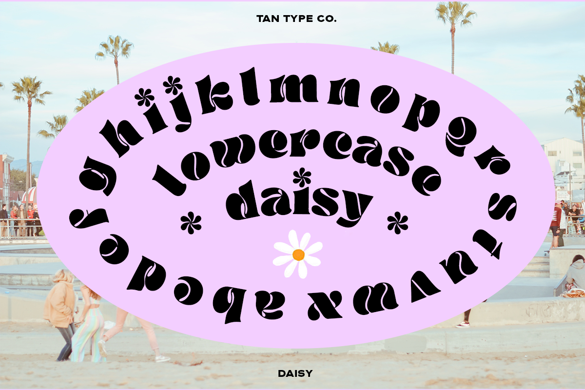 TAN - DAISY, a Serif Font by TanType (Photo 9 of 14)