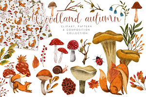 Woodland Autumn Clipart & Patterns