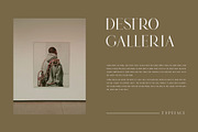 DESTRO Ligature Serif Font, a Serif Font by Humaira_std (Thumbnail 3 of 8)
