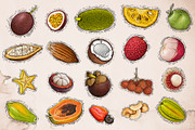 Tropical Fruit Illustration 2, an Object Graphic by RMPL.std (Thumbnail 2 of 4)