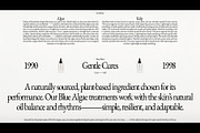 Brand Presentation Deck Template, a Presentation Template by Studio Viita (Thumbnail 5 of 10)