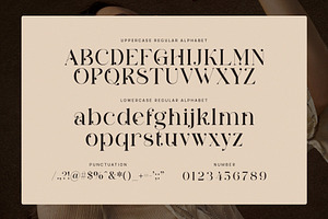 Slafiko Stylish Serif Font