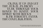 CS Alden – Display Serif Font, a Serif Font by Craft Supply Co. (Thumbnail 2 of 8)