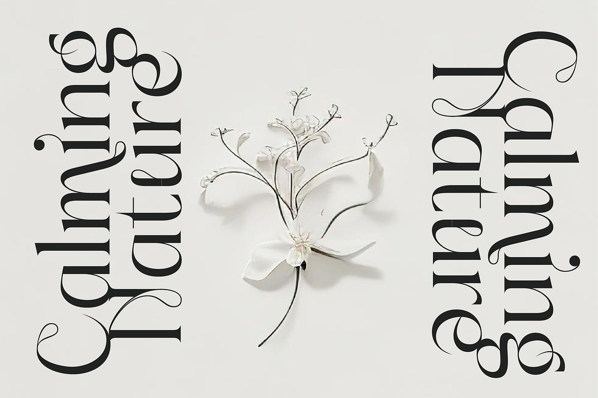 Sainer Bagora Modern Serif, a Serif Font by timelesstype.co (Photo 19 of 20)
