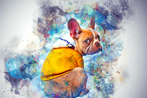 Colored Pet Portrait PS Action