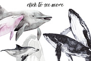 Large ocean Fish, an Animal Illustration by KatBranchArt (Thumbnail 3 of 4)