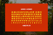 Ramveno | Playful Display, a Handwritten Font by gracetype_studio (Thumbnail 12 of 12)