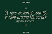 TAN-BRYDONE, a Font by TanType (Thumbnail 3 of 16)