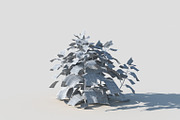 Melissa officinalis, an Environmental 3D Model by happy brush (Thumbnail 8 of 8)