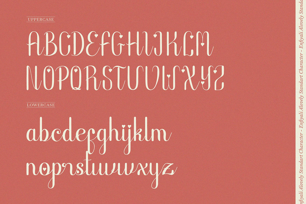 Enfiyali Alovelly Love Modern Script, a Script Font by Denustudios (Photo 10 of 13)