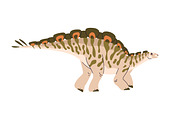 Dinosaurs, prehistoric raptors set, an Animal Illustration by Good Studio (Thumbnail 10 of 17)