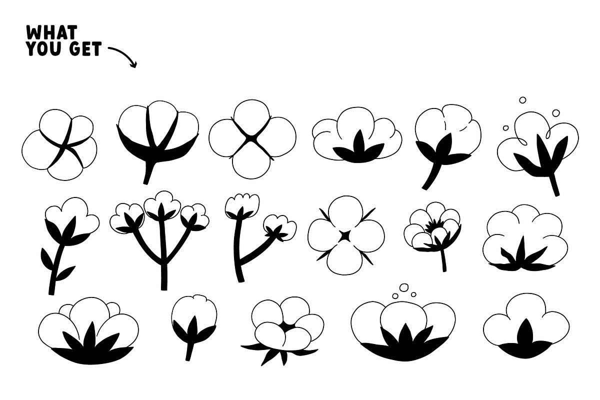 Cotton Flower, an Object Graphic by AnkaDrozd (Photo 3 of 7)