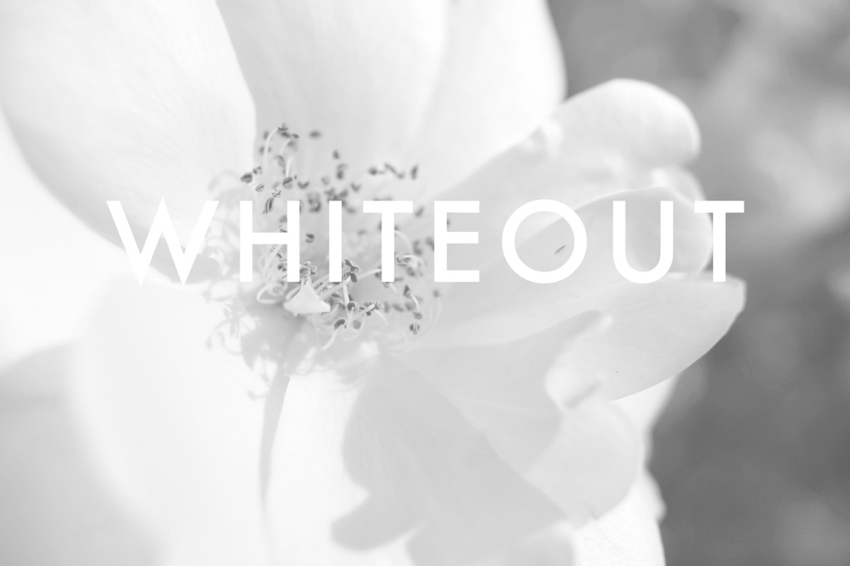Quick B+W, an Action Add-On by Little Type House (Photo 10 of 11)