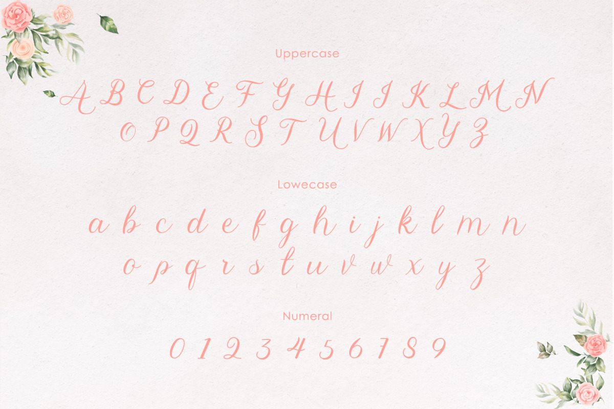 Abilane - Elegant Calligraphic Font, a Script Font by Typefactoryco (Photo 2 of 10)