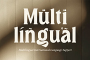 The Ghamber Classic Vintage, a Serif Font by Typetemp Studio (Thumbnail 14 of 17)