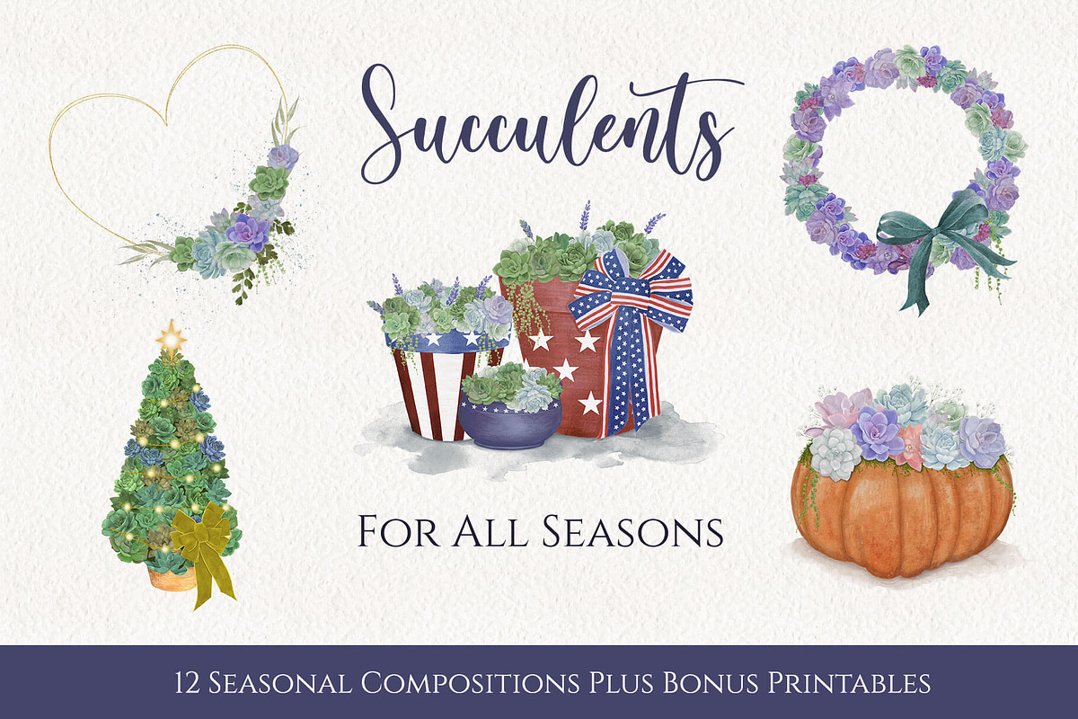 Seasonal Succulents, a Seasonal Illustration by Maggie Stilwell Design (Photo 1 of 13)